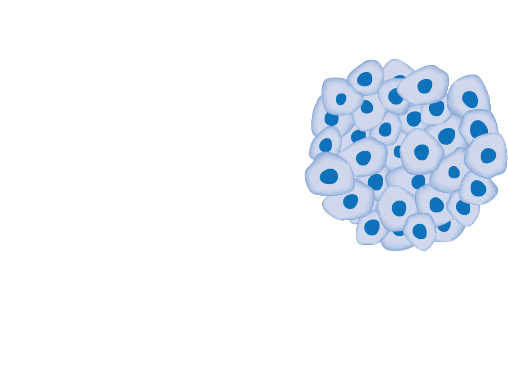 malignen tumoren
